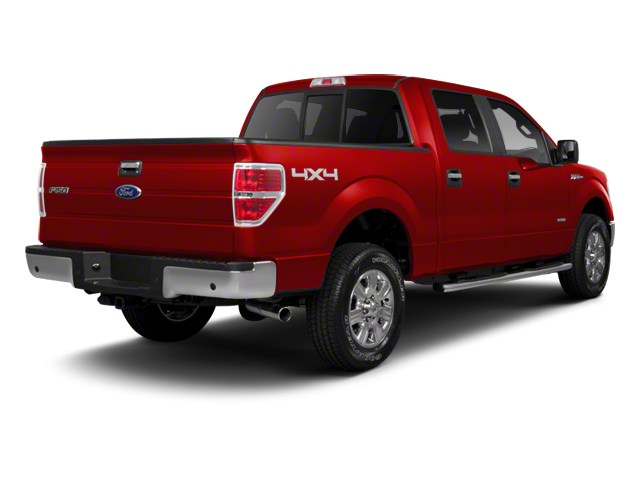 Used 2011 Ford F-150 XLT with VIN 1FTEW1CM6BFC00244 for sale in Bowling Green, KY