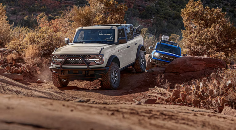 A white 2026 Ford Bronco and a blue 2026 Ford Bronco Sport driving off-road