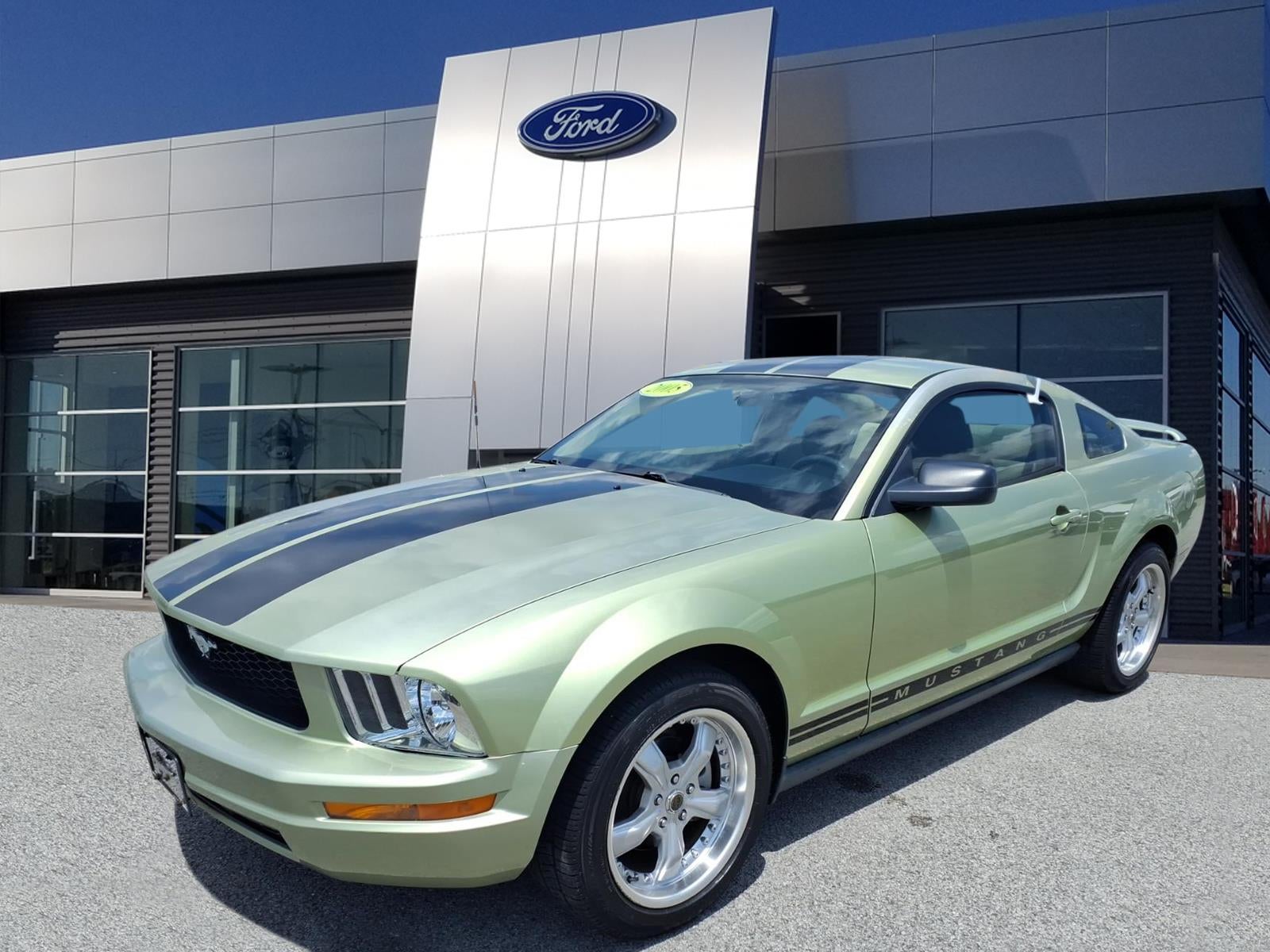 Used 2005 Ford Mustang Premium with VIN 1ZVFT80N955193266 for sale in Bowling Green, KY